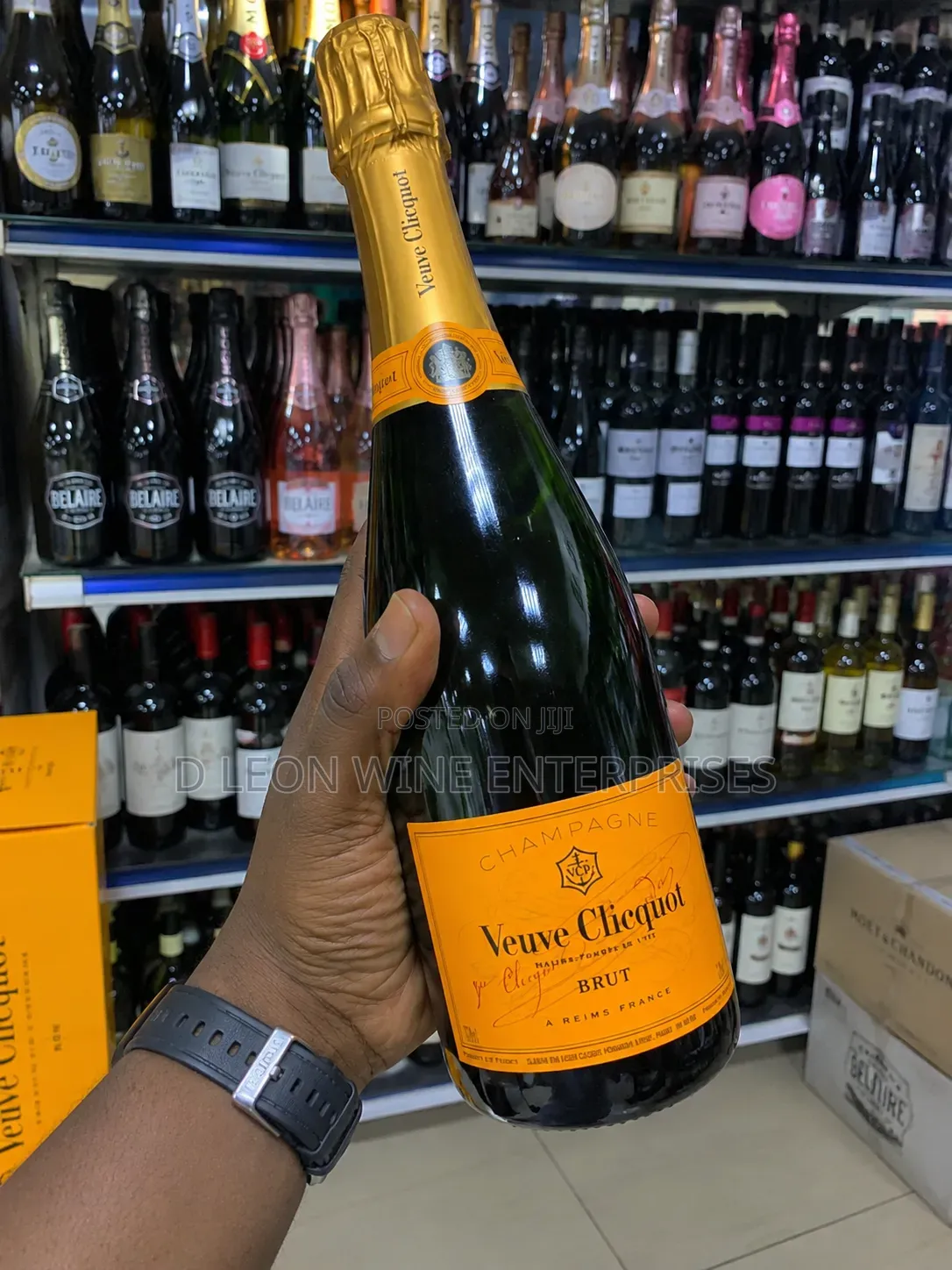 Veuve Cliequot Brut Cartoon by ( 12 Bottles )