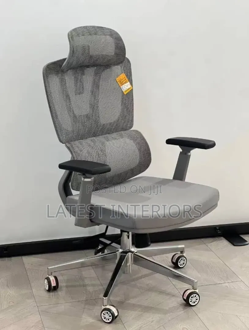 Premium Ergonomic Office Chair (Mesh)