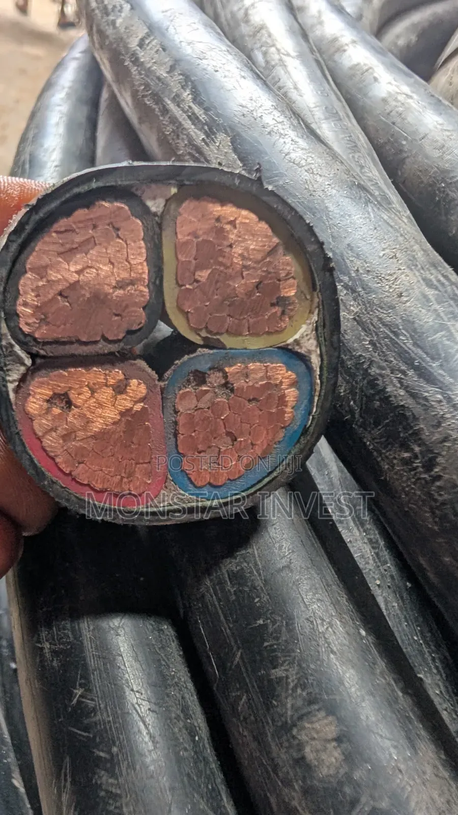 Armored Cable