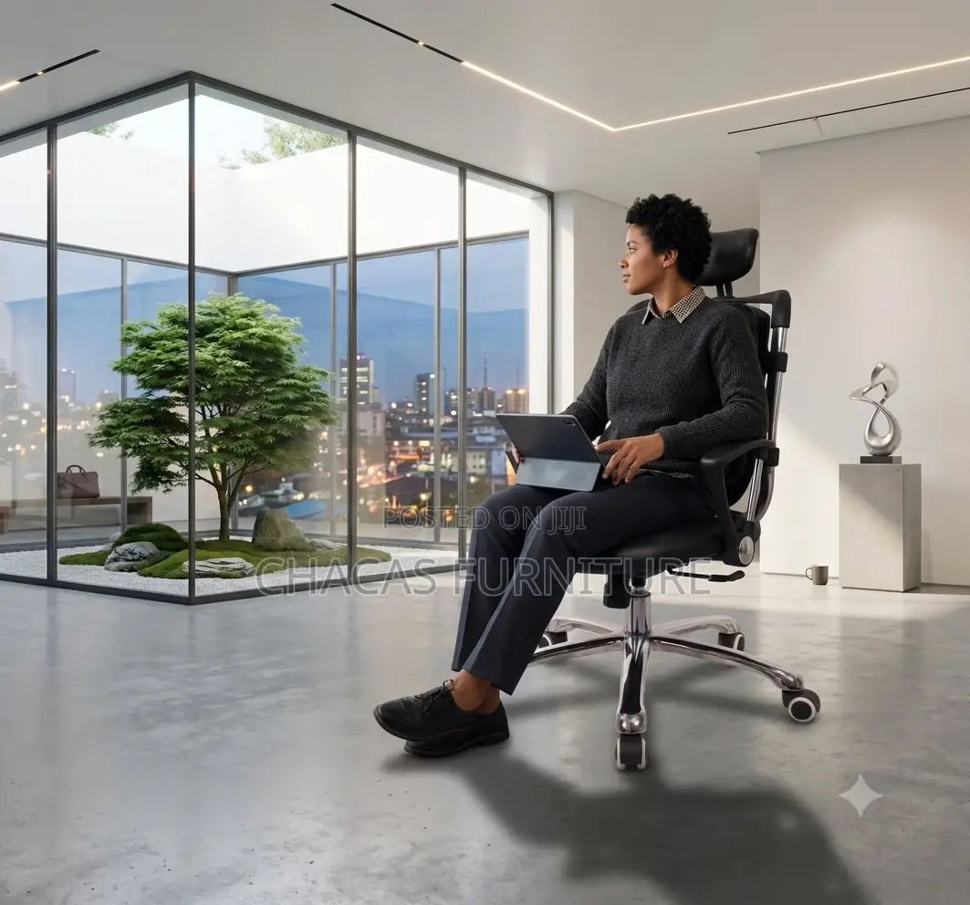 Ergonomic High-Back Double-Lumbar Office Chair