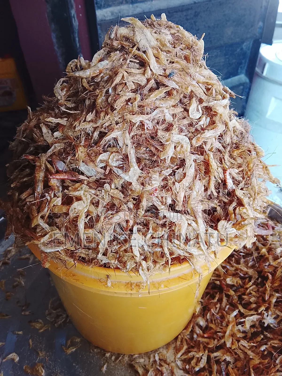 Mangala Fish