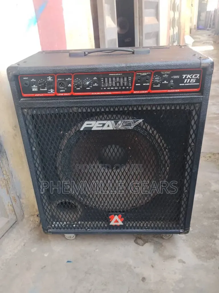 Uk Used Professional Penvey Combo Speaker
