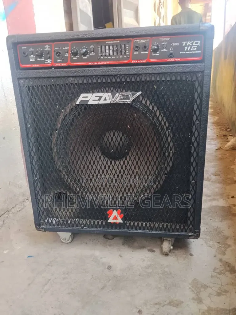Uk Used Professional Penvey Combo Speaker