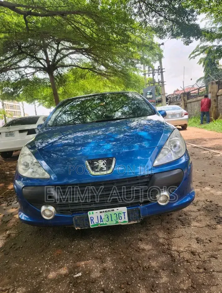 Peugeot 307 2006 Blue
