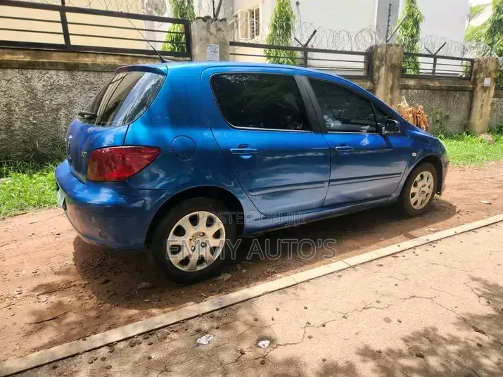 Peugeot 307 2006 Blue