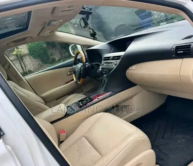 Lexus RX 2010 White