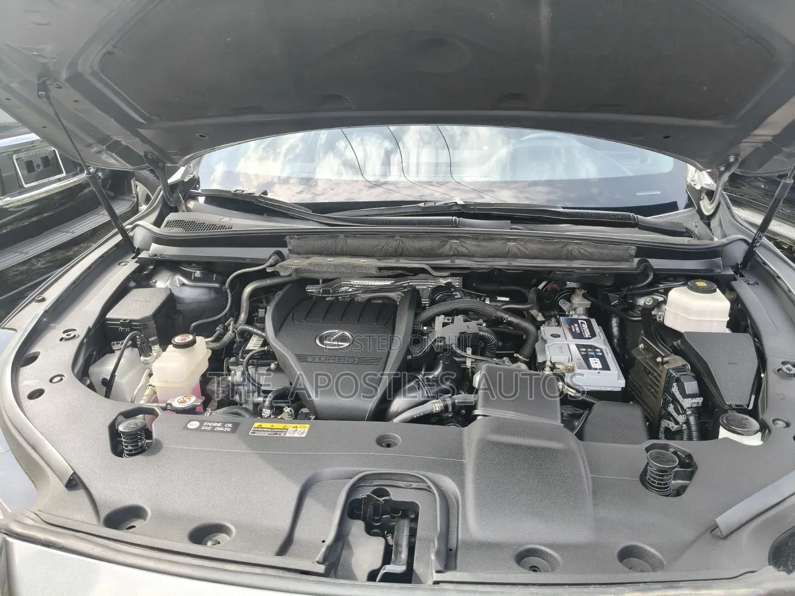 Lexus RX 2024 Gray