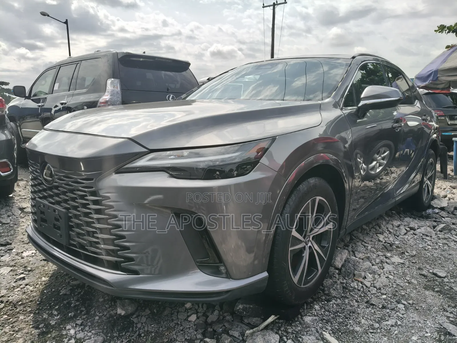 Lexus RX 2024 Gray