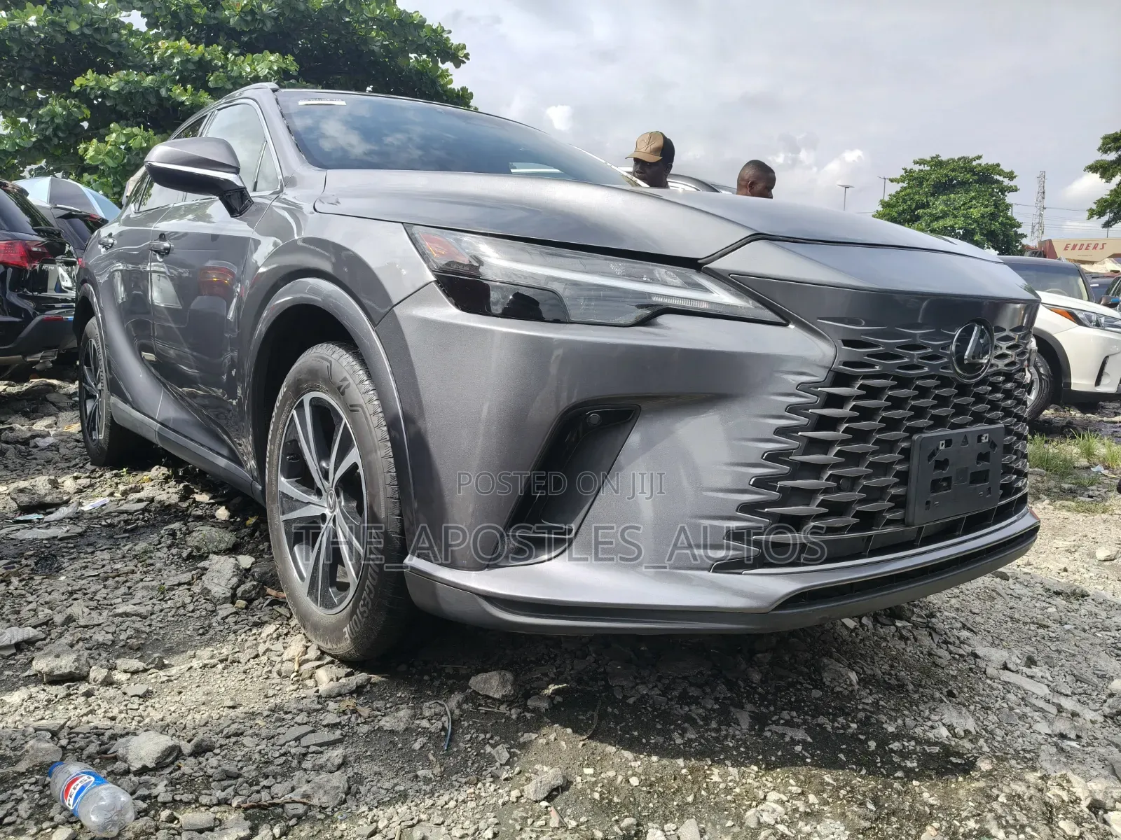 Lexus RX 2024 Gray