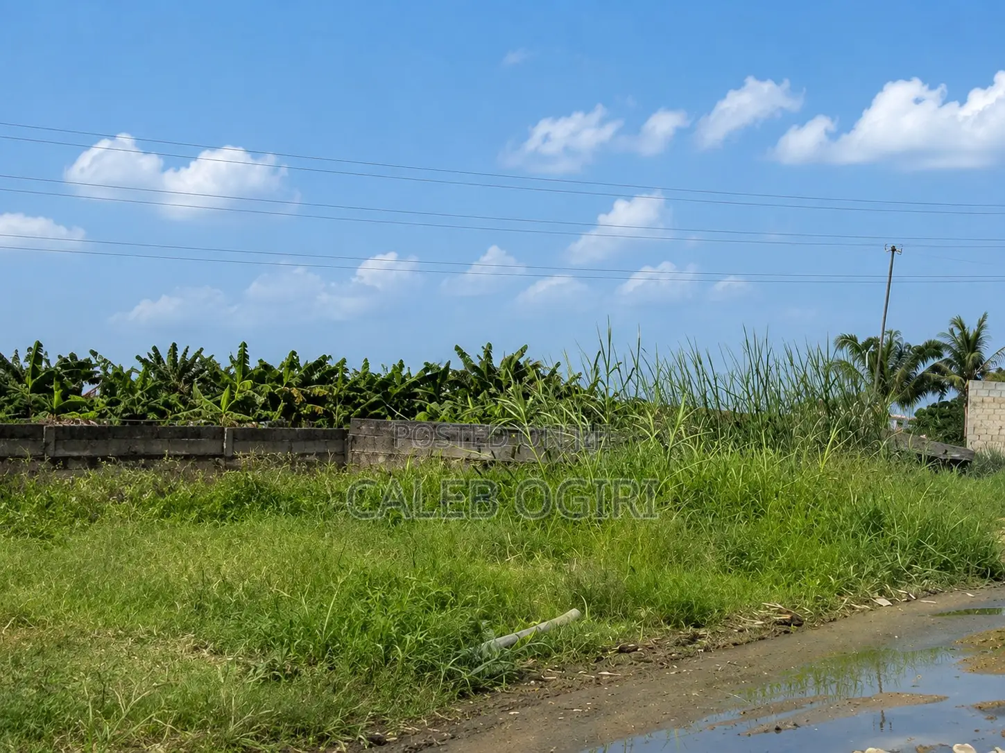 Half Plot in Ikeja for Sale