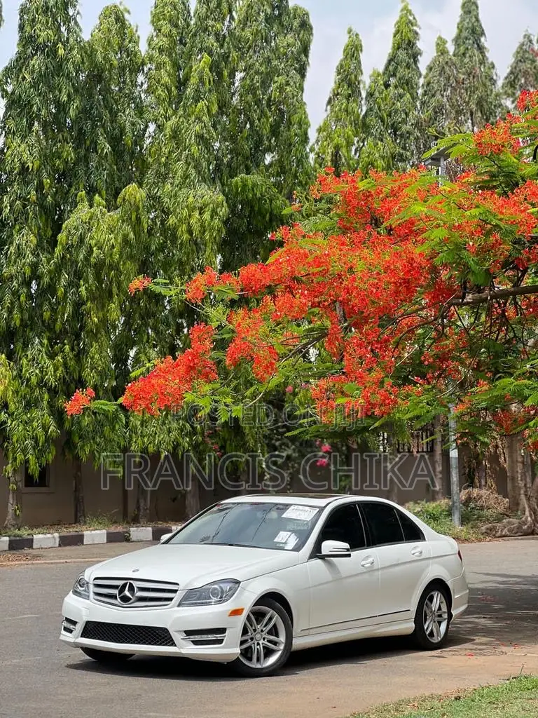 Mercedes-Benz C300 2014 White