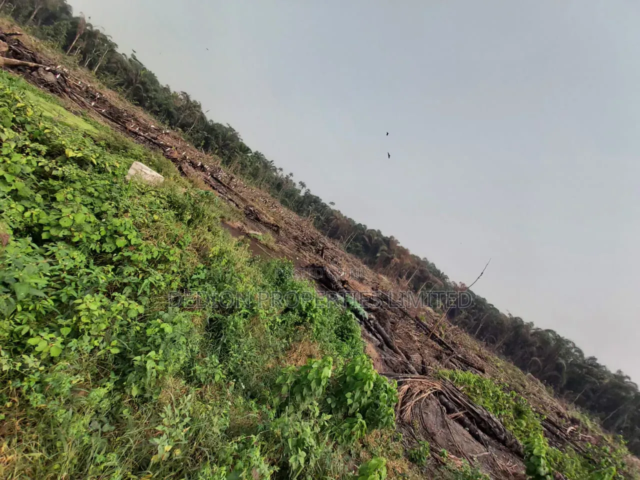 Ketu Epe Land With Freehold and Registered Survey L