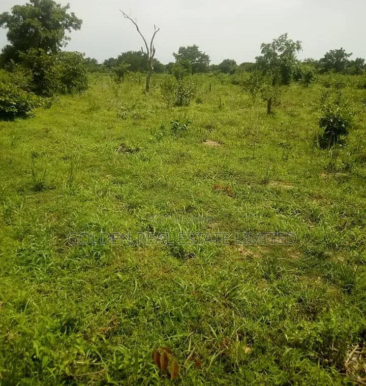 For Sale 2 Plots of Land at Imola-Ijadu , Ado Ekiti. Price: #2m for 2