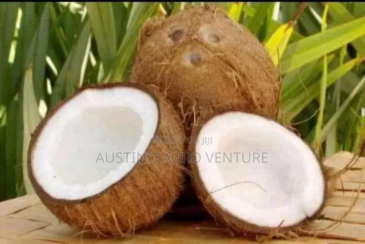Sweet Dry, Coconut Pod
