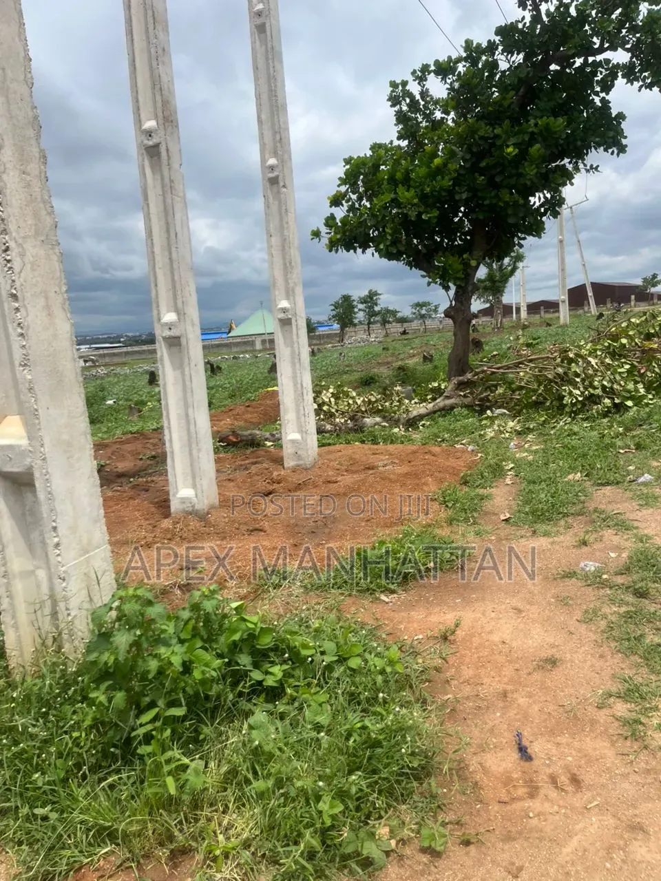 1.3 Hectare of Level Land in Idu for Sale