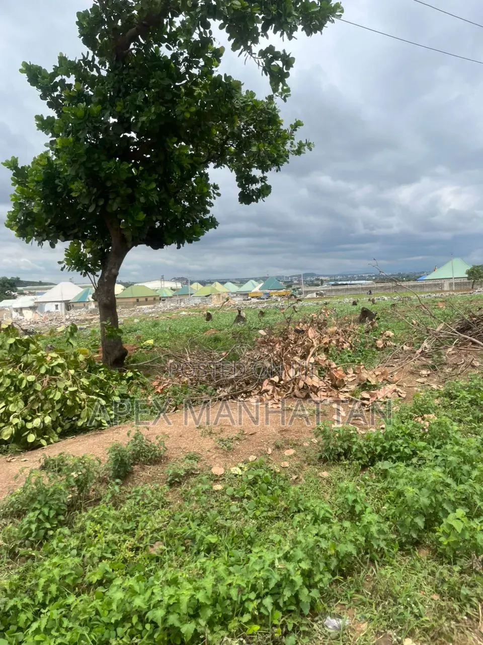 1.3 Hectare of Level Land in Idu for Sale