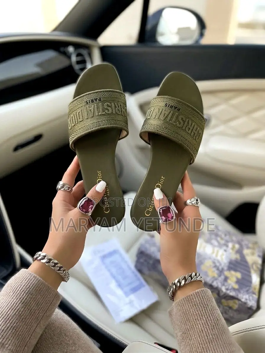 Luxury Christian Dior Slippers
