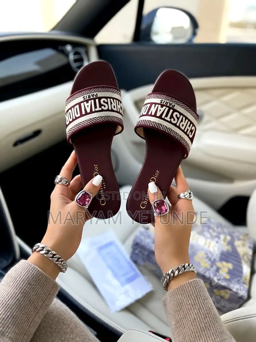 Luxury Christian Dior Slippers