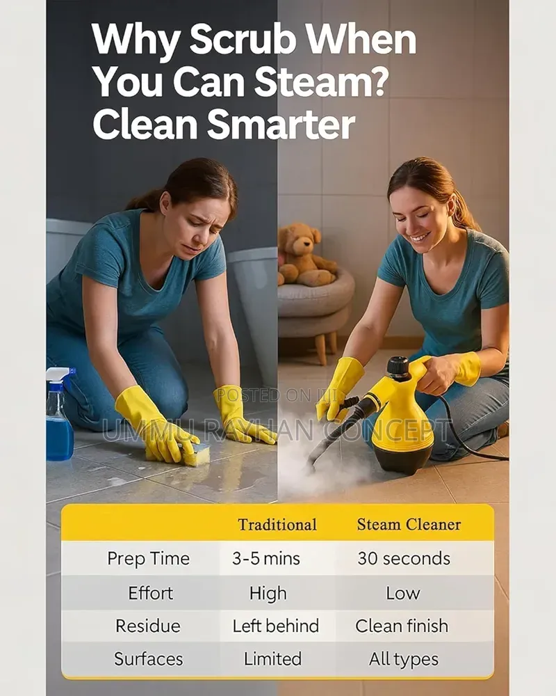 Hand-Held Steamer Cleaner