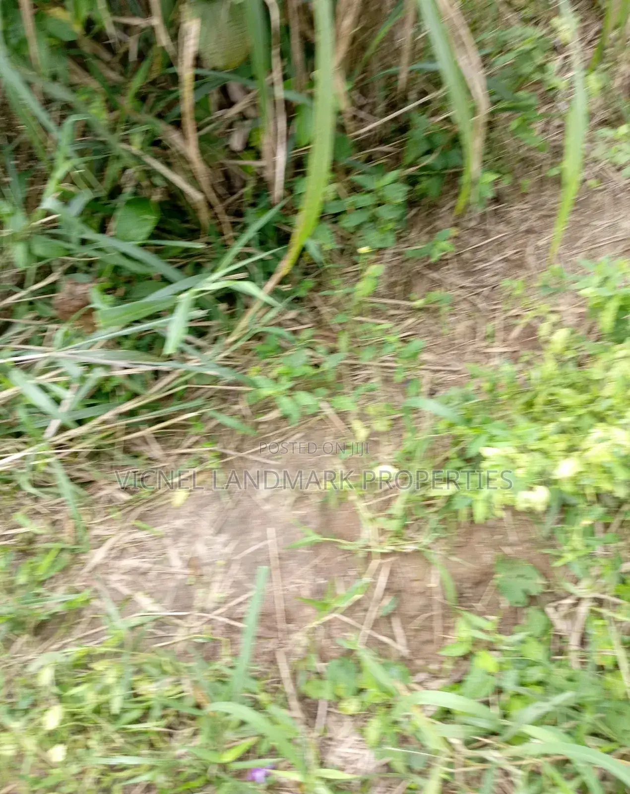 Plots of Land at Igwuruta Ali/Omagwa Achievers Estates Ph 2