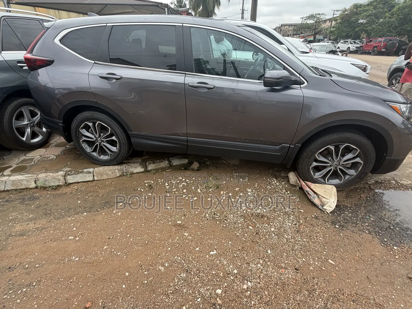Honda CR-V EX 2022 Gray