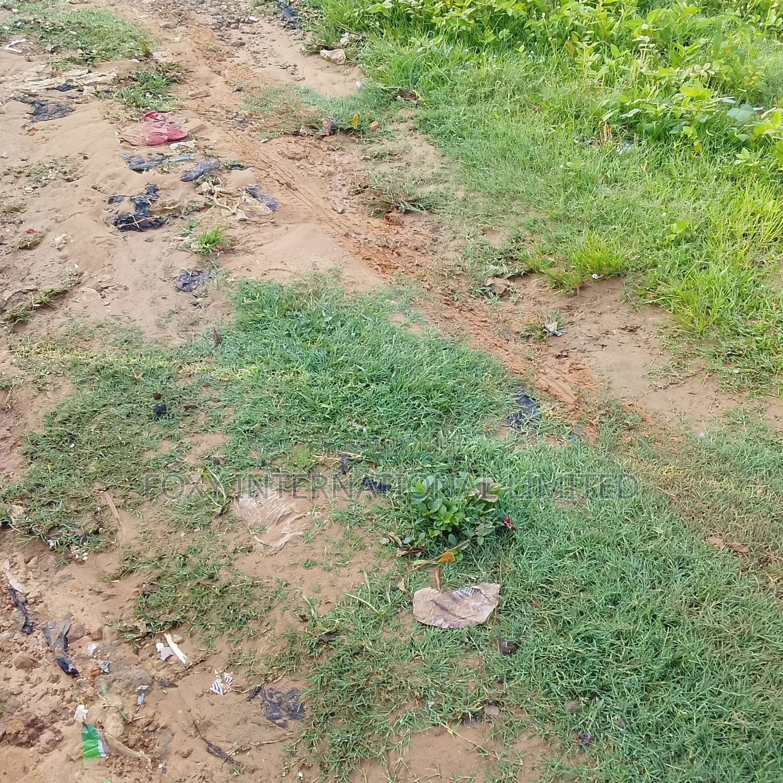 145 Hectares at Wasa