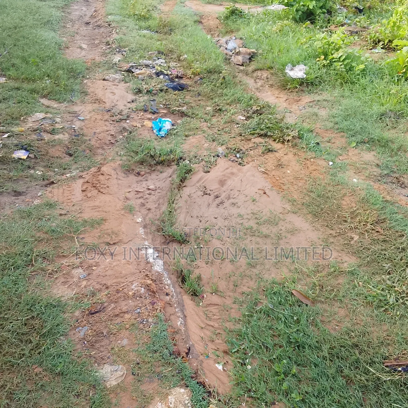 145 Hectares at Wasa