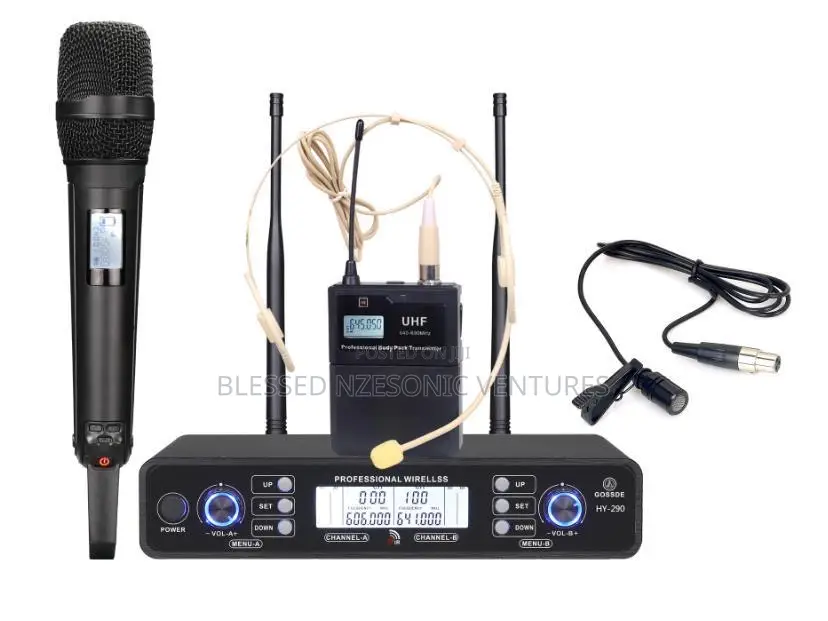 Professional Wireless Microphone