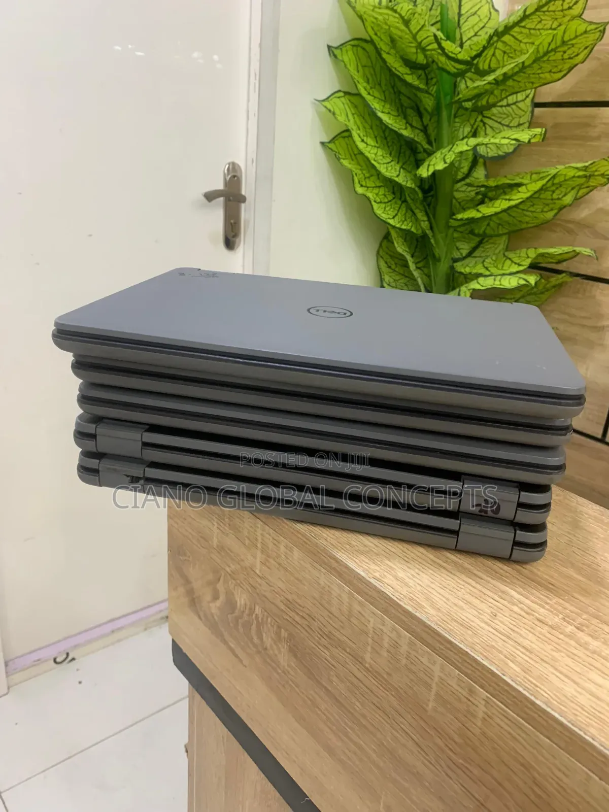 Laptop Dell Latitude 3120 8GB Intel Pentium SSD 256GB
