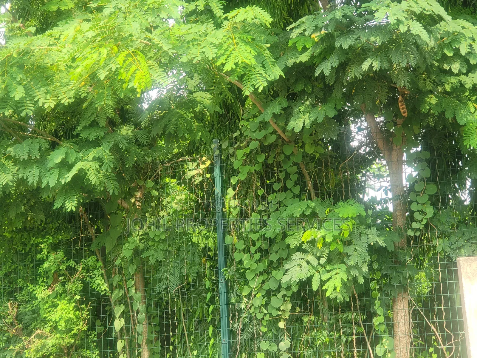 50.14 Hectares of Land Available for Sale
Location: Wasa–Apo Abuja