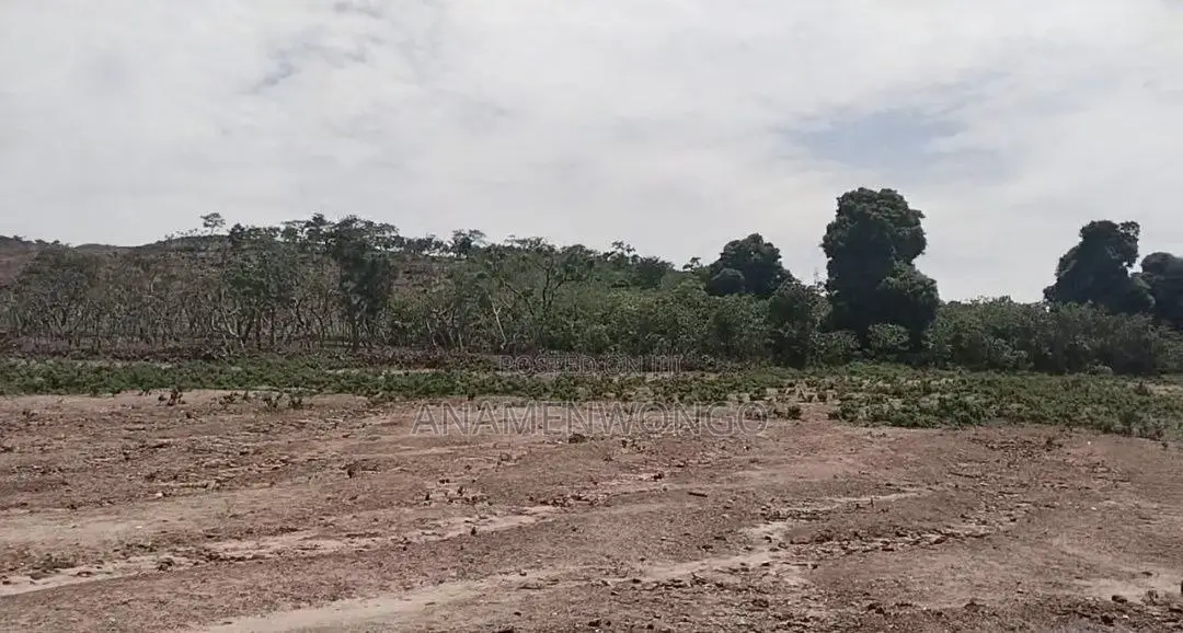 250sqm Kuje Premium Lands Luxury Homes | Fcda Approved