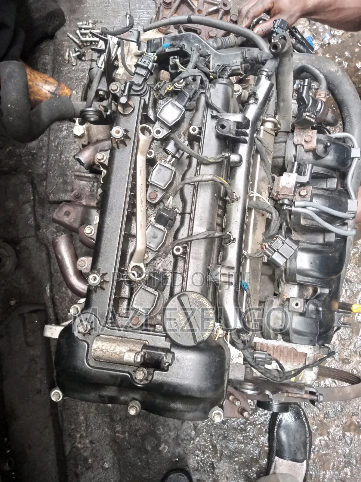 Hyundai and Kia Engines