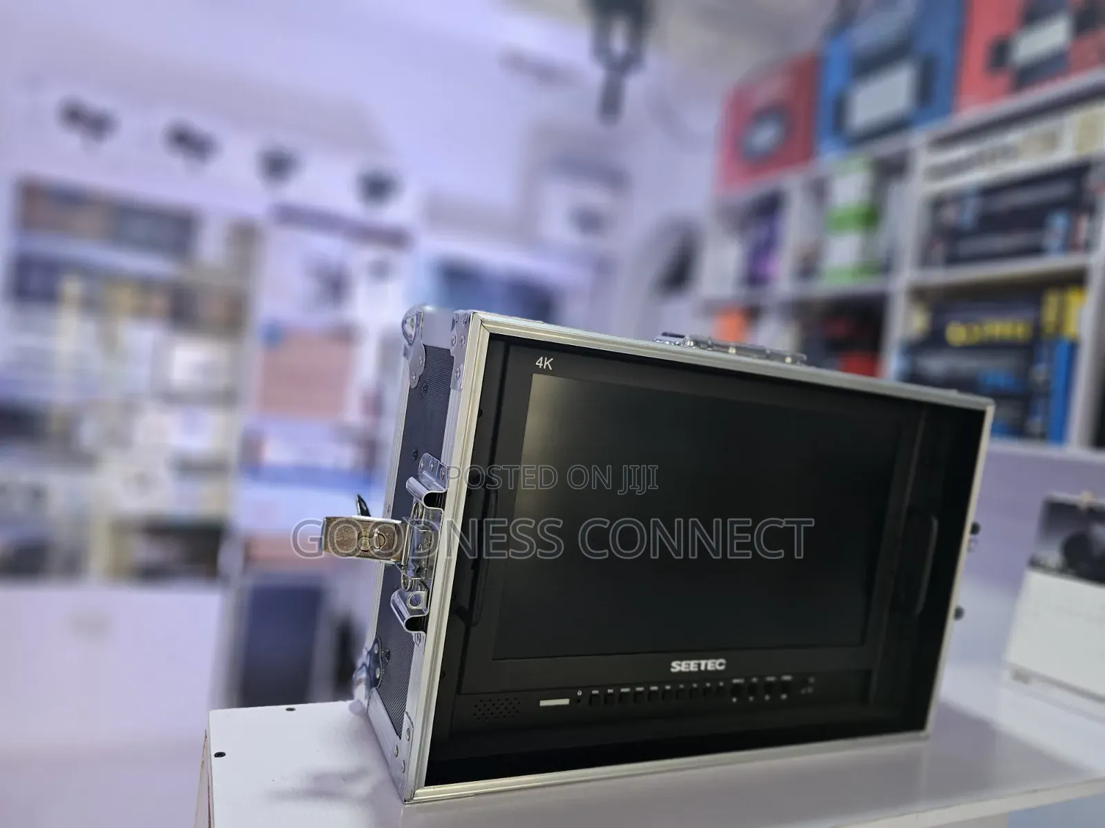 Seetec Director Monitor 17.3 Inches