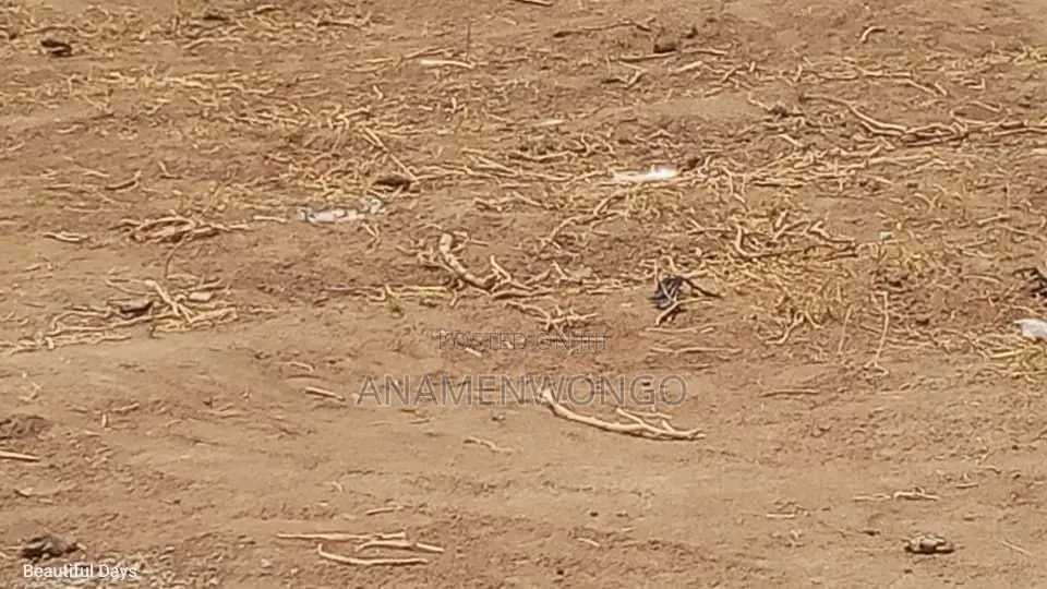 Kuje Premium Lands Luxury Homes | Fcda Approved