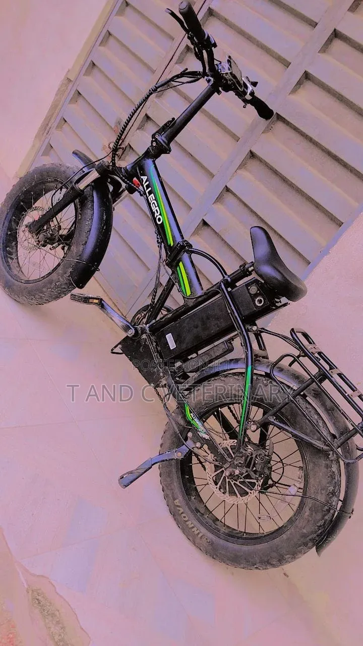 Allegro Electric Bicycle Tokunbo 48v Big Tyres