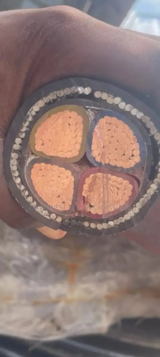 This Is 185mmx4core Cable Armored