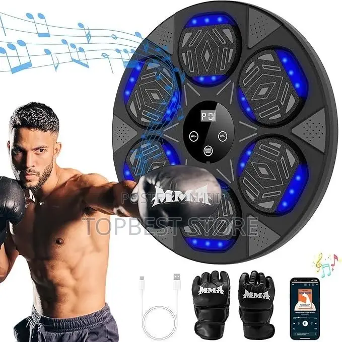 Electronic Boxing Wall Target