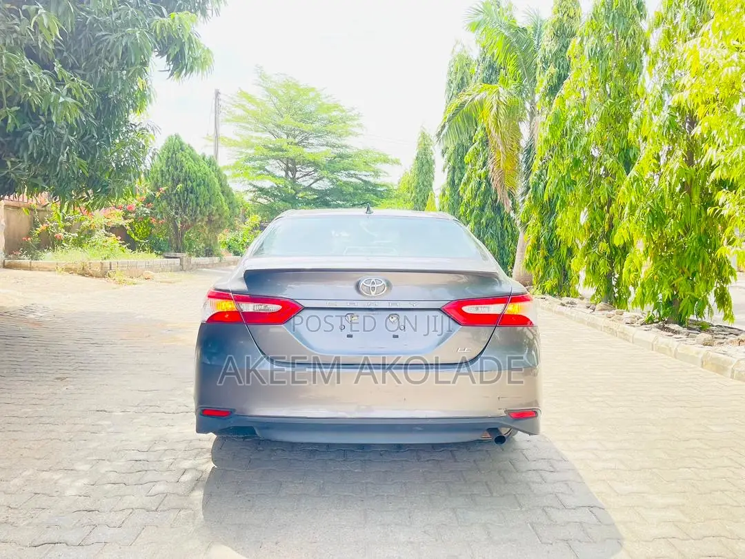 Toyota Camry LE (2.5L 4cyl 8A) 2019 Gray