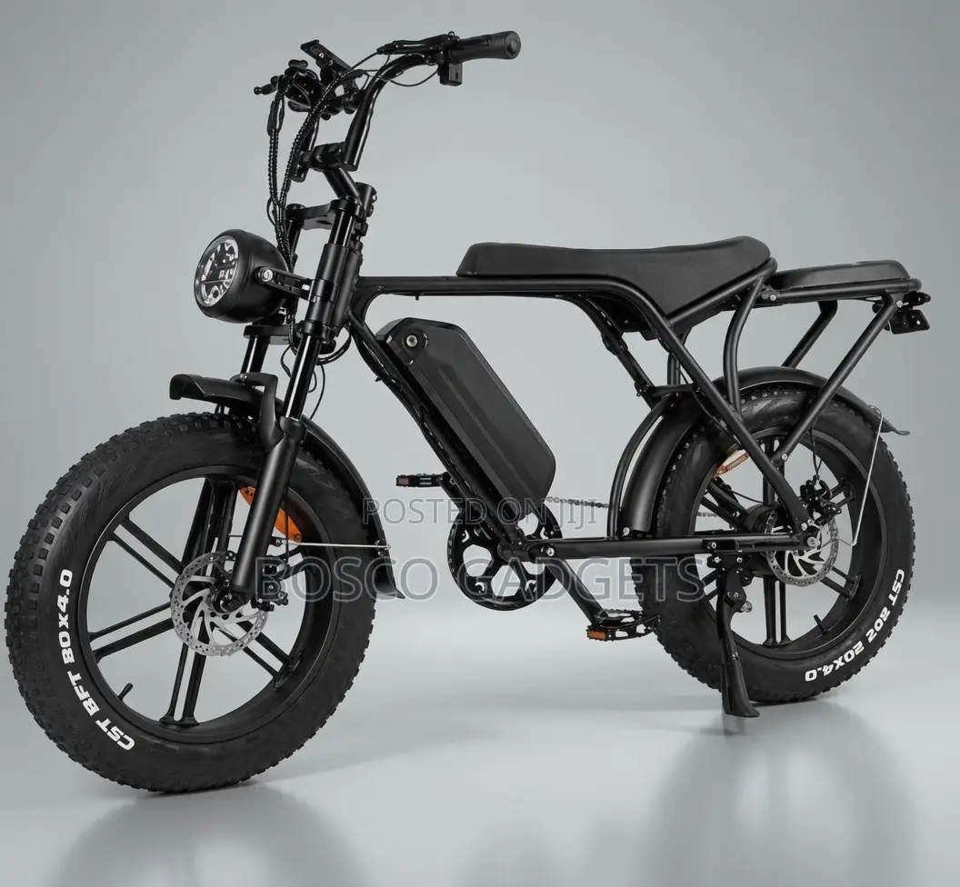 Off-Road Fat Tyre Electric Bicycle 48v23ah Smart Card System