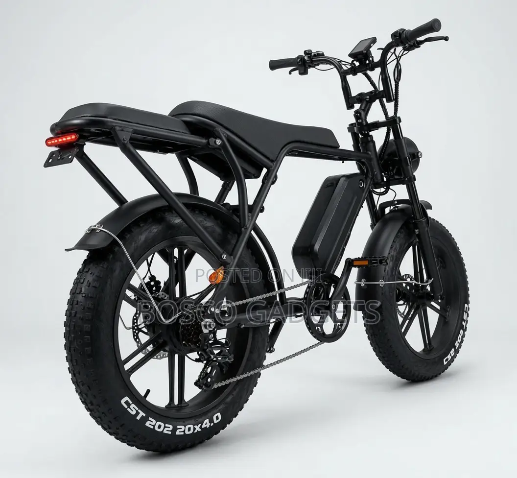 Off-Road Fat Tyre Electric Bicycle 48v23ah Smart Card System