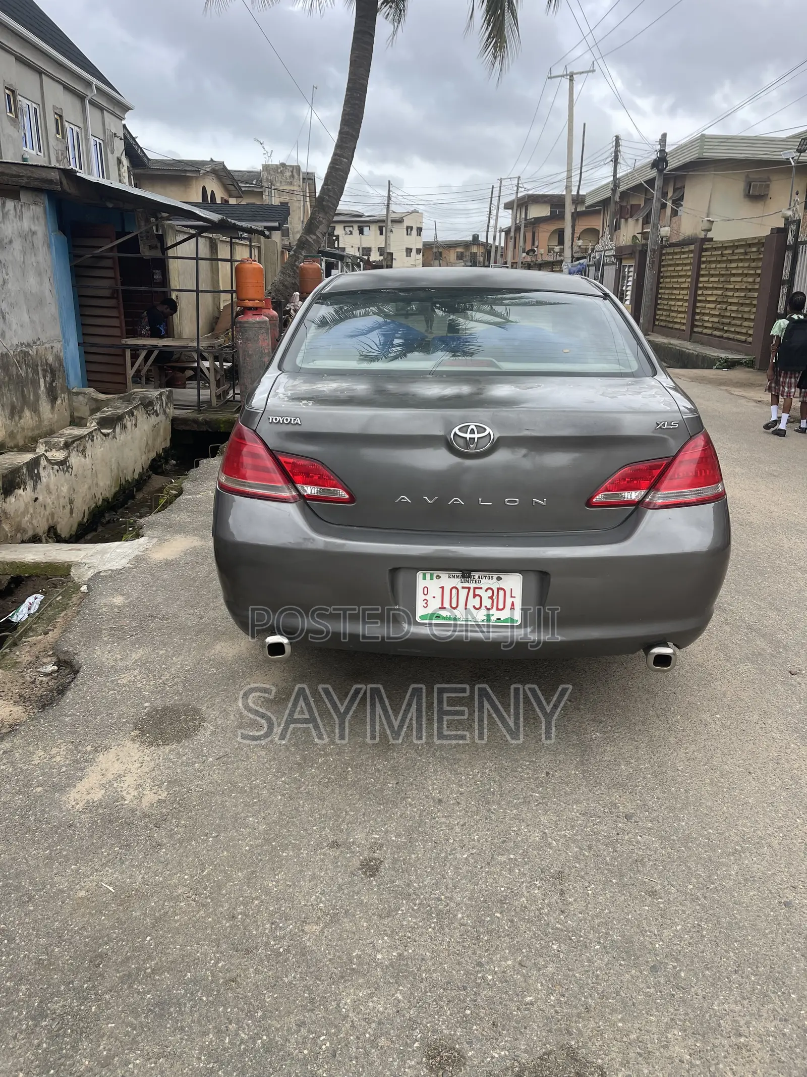 Toyota Avalon XLS 2006 Gray