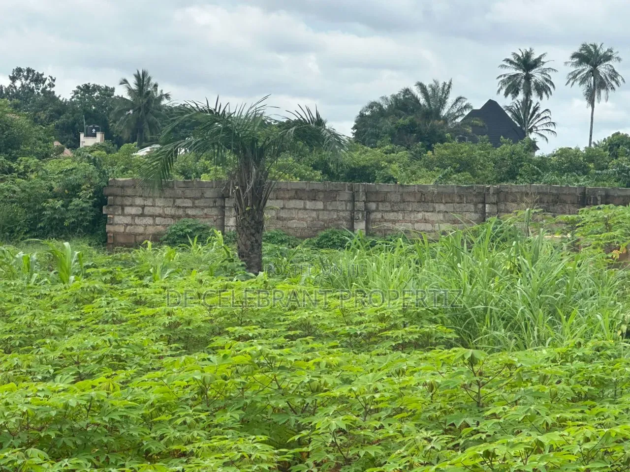 Sharp Plot of Land for Sale