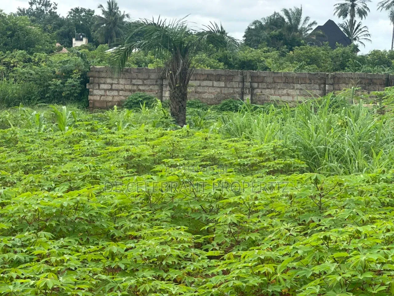 Sharp Plot of Land for Sale