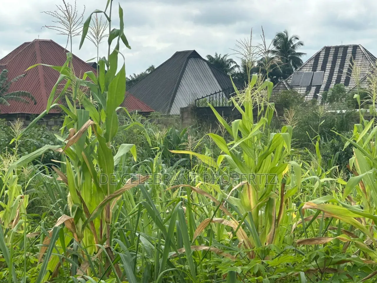 Sharp Plot of Land for Sale