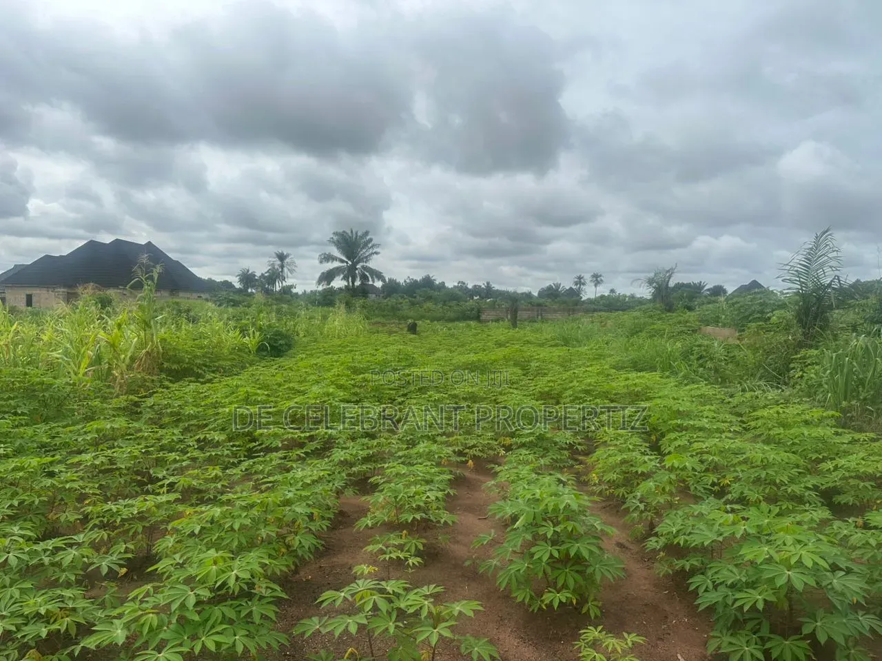 Sharp Plot of Land for Sale
