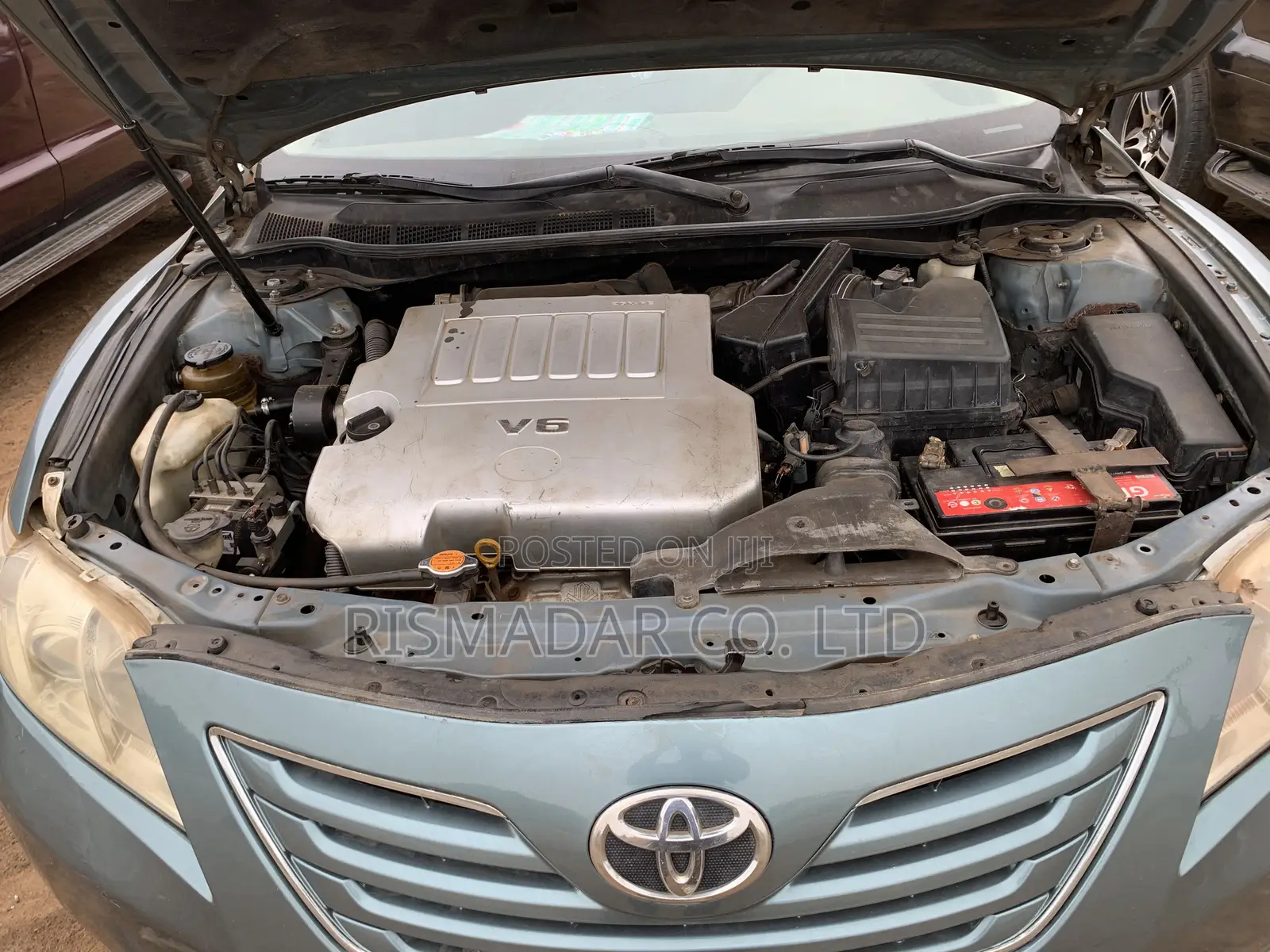 Toyota Camry XLE V6 4dr Sedan (3.5L 6cyl 6AM) 2010 Green
