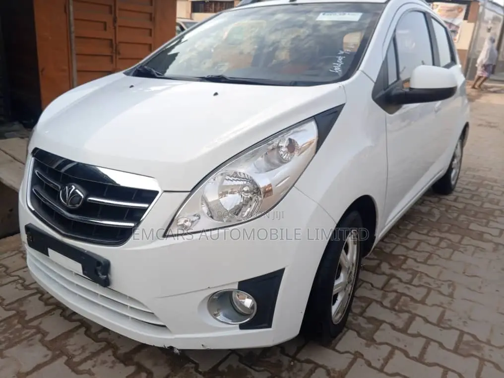 Car 2009 White