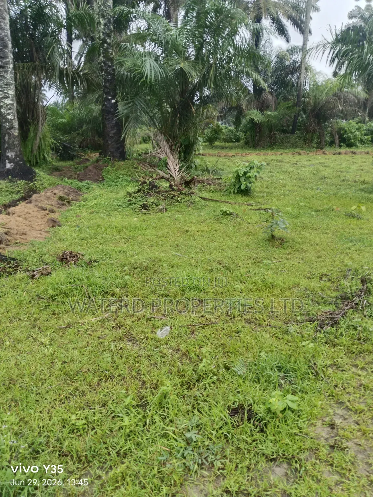 3 Plots of Land. Back of Indoroma