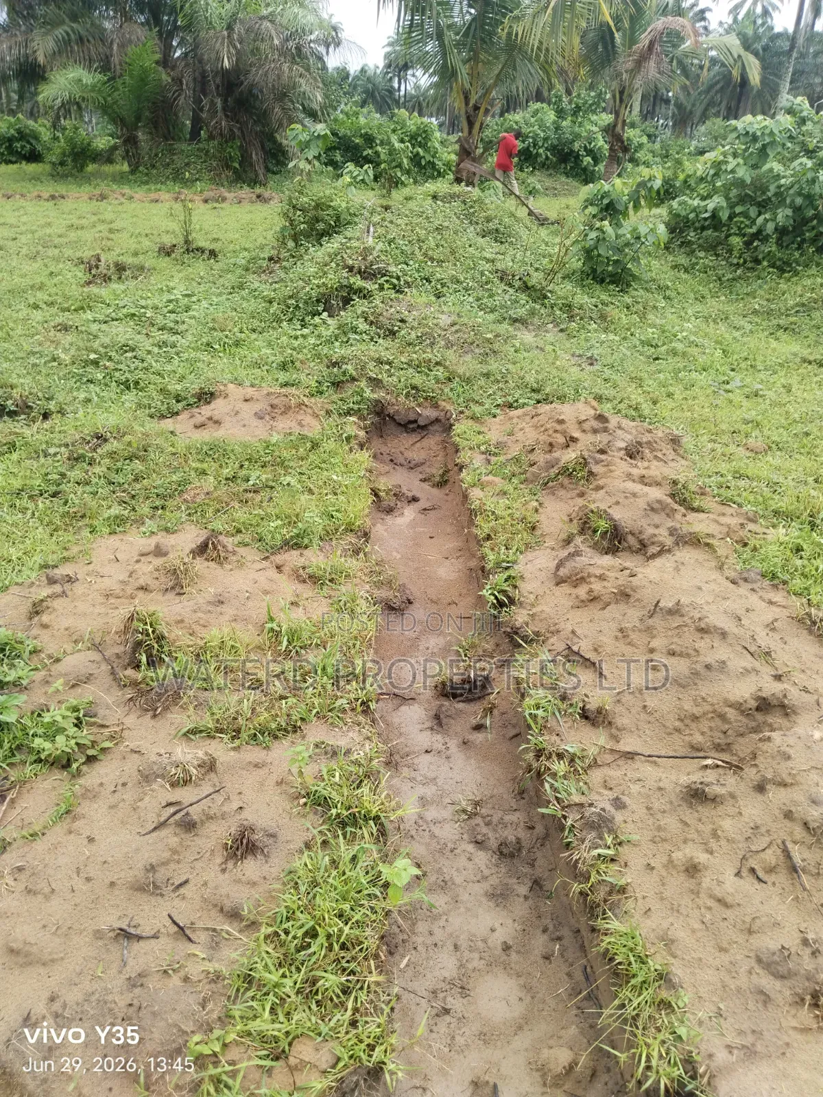 3 Plots of Land. Back of Indoroma