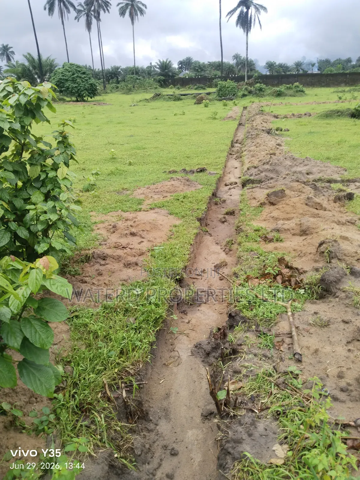 3 Plots of Land. Back of Indoroma